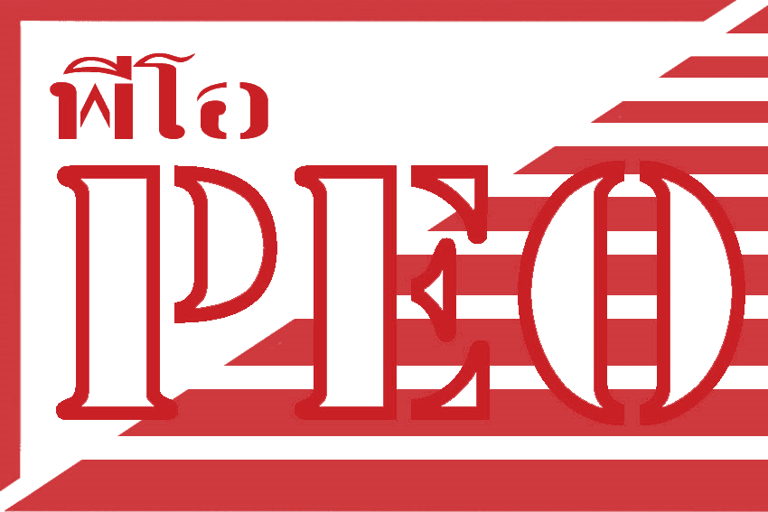 PEO — Process Efficiency Optimization